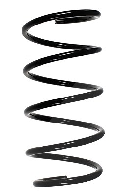Spidan Fahrwerksfeder [Hersteller-Nr. 55089] für BMW