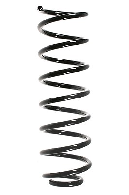 Spidan Fahrwerksfeder [Hersteller-Nr. 49486] für Audi