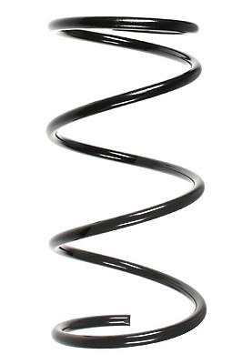 Spidan Fahrwerksfeder [Hersteller-Nr. 49310] für Toyota