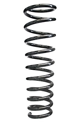 Spidan Fahrwerksfeder [Hersteller-Nr. 49541] für Alfa Romeo
