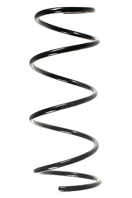 Spidan Fahrwerksfeder [Hersteller-Nr. 49791] für Renault