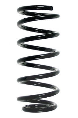 Spidan Fahrwerksfeder [Hersteller-Nr. 55129] für Mini