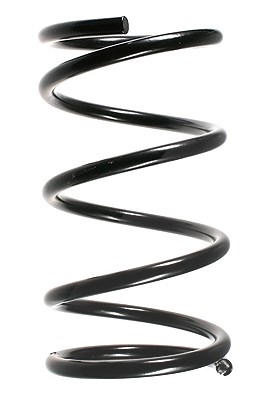 Spidan Fahrwerksfeder [Hersteller-Nr. 55348] für Ford