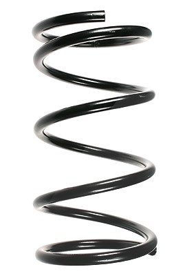 Spidan Fahrwerksfeder [Hersteller-Nr. 55349] für Ford