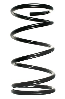 Spidan Fahrwerksfeder [Hersteller-Nr. 55351] für Ford