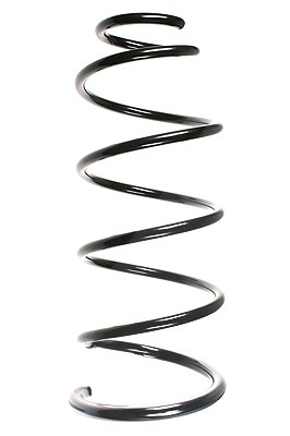 Spidan Fahrwerksfeder [Hersteller-Nr. 56069] für Citroën, Peugeot