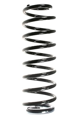 Spidan Fahrwerksfeder [Hersteller-Nr. 56138] für Renault