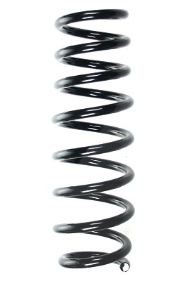 Spidan Fahrwerksfeder [Hersteller-Nr. 56821] für Alfa Romeo