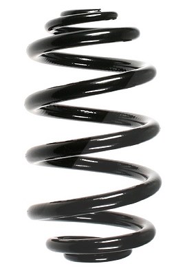 Spidan Fahrwerksfeder [Hersteller-Nr. 56964] für BMW