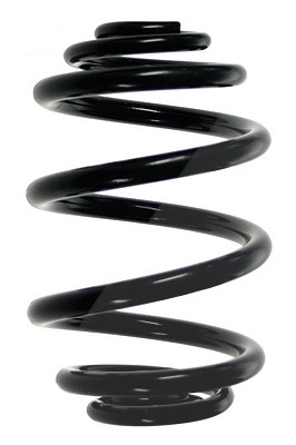 Spidan Fahrwerksfeder [Hersteller-Nr. 56975] für BMW