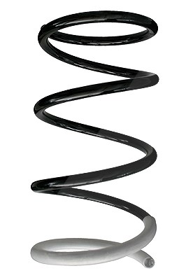 Spidan Fahrwerksfeder [Hersteller-Nr. 85265] für Mitsubishi