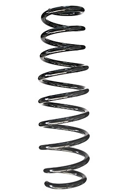 Spidan Fahrwerksfeder [Hersteller-Nr. 85541] für Alfa Romeo