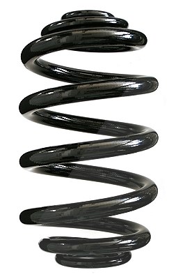 Spidan Fahrwerksfeder [Hersteller-Nr. 85549] für BMW