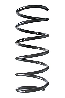 Spidan Fahrwerksfeder [Hersteller-Nr. 85569] für Ford