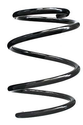 Spidan Fahrwerksfeder [Hersteller-Nr. 85730] für Mini