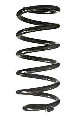 Spidan Fahrwerksfeder [Hersteller-Nr. 85731] für Mini