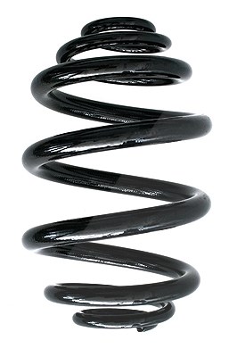 Spidan Fahrwerksfeder [Hersteller-Nr. 85735] für BMW