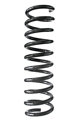 Spidan Fahrwerksfeder [Hersteller-Nr. 85765] für Ford