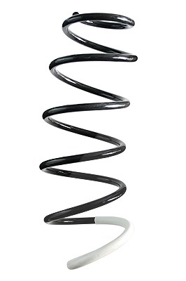 Spidan Fahrwerksfeder [Hersteller-Nr. 85847] für Citroën