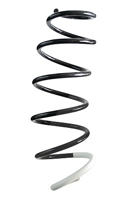 Spidan Fahrwerksfeder [Hersteller-Nr. 85848] für Citroën