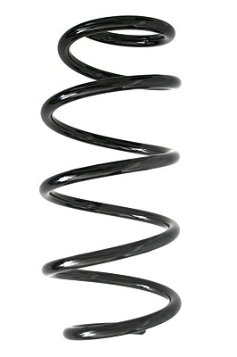 Spidan Fahrwerksfeder [Hersteller-Nr. 85890] für Ford