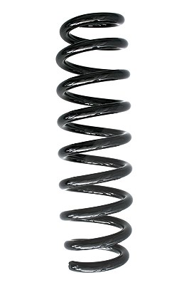 Spidan Fahrwerksfeder [Hersteller-Nr. 86369] für BMW
