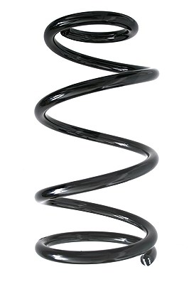 Spidan Fahrwerksfeder [Hersteller-Nr. 86383] für Ford