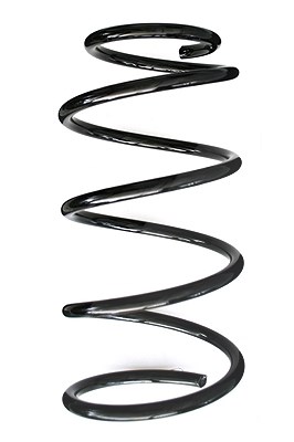Spidan Fahrwerksfeder [Hersteller-Nr. 86389] für Hyundai