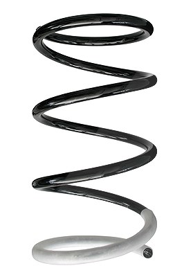 Spidan Fahrwerksfeder [Hersteller-Nr. 86395] für Peugeot, Mitsubishi, Citroën