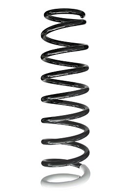 Spidan Fahrwerksfeder [Hersteller-Nr. 86398] für Mitsubishi
