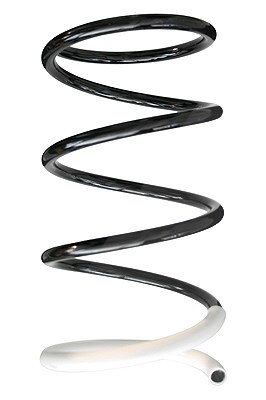 Spidan Fahrwerksfeder [Hersteller-Nr. 86406] für Mitsubishi