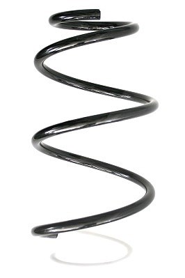 Spidan Fahrwerksfeder [Hersteller-Nr. 86724] für Renault