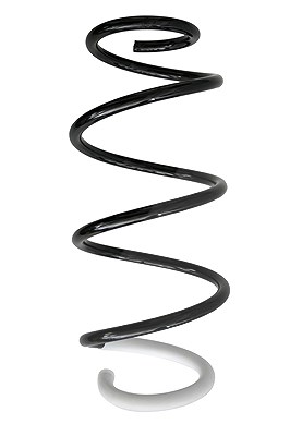 Spidan Fahrwerksfeder [Hersteller-Nr. 86730] für Renault