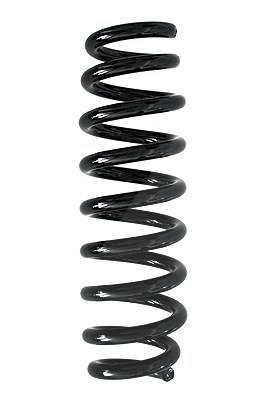 Spidan Fahrwerksfeder [Hersteller-Nr. 86759] für BMW