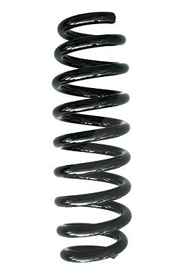 Spidan Fahrwerksfeder [Hersteller-Nr. 86762] für BMW