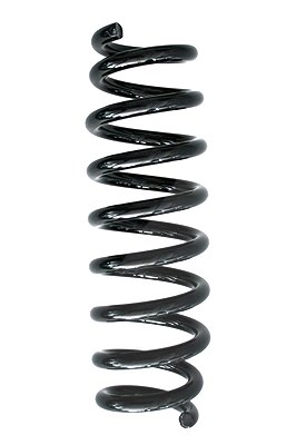 Spidan Fahrwerksfeder [Hersteller-Nr. 86771] für BMW