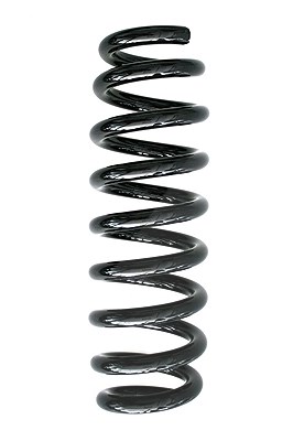 Spidan Fahrwerksfeder [Hersteller-Nr. 86775] für BMW