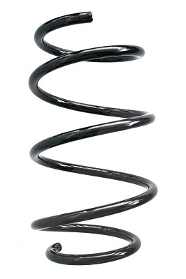 Spidan Fahrwerksfeder [Hersteller-Nr. 86778] für BMW