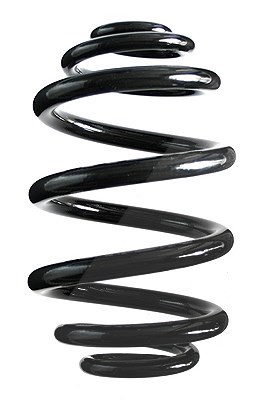 Spidan Fahrwerksfeder [Hersteller-Nr. 86789] für BMW