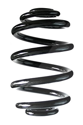Spidan Fahrwerksfeder [Hersteller-Nr. 86790] für BMW