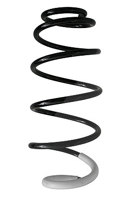 Spidan Fahrwerksfeder [Hersteller-Nr. 86804] für Peugeot, Citroën
