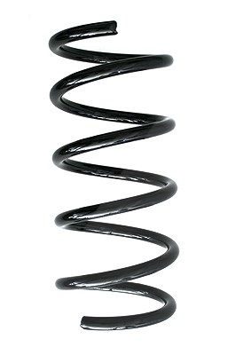 Spidan Fahrwerksfeder [Hersteller-Nr. 86824] für Fiat