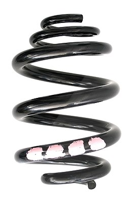 Spidan Fahrwerksfeder [Hersteller-Nr. 86853] für VW