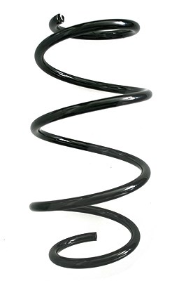 Spidan Fahrwerksfeder [Hersteller-Nr. 86873] für BMW