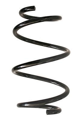Spidan Fahrwerksfeder [Hersteller-Nr. 86876] für BMW