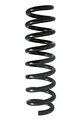 Spidan Fahrwerksfeder [Hersteller-Nr. 86882] für BMW