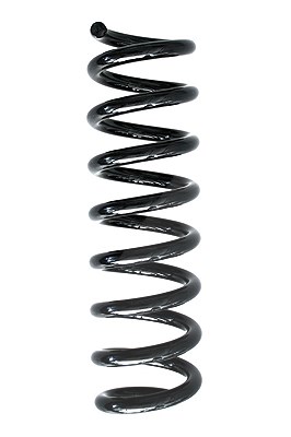 Spidan Fahrwerksfeder [Hersteller-Nr. 86883] für BMW