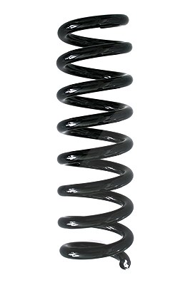 Spidan Fahrwerksfeder [Hersteller-Nr. 86885] für BMW