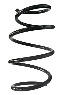 Spidan Fahrwerksfeder [Hersteller-Nr. 86988] für BMW