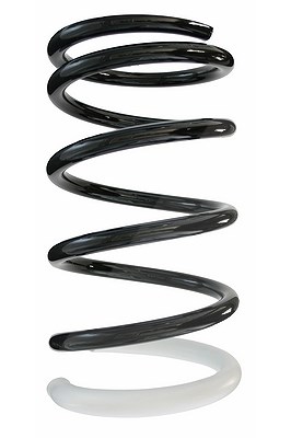 Spidan Fahrwerksfeder [Hersteller-Nr. 87119] für Toyota